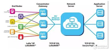 LoRa技術(shù)在中國物聯(lián)網(wǎng)服務(wù)市場的發(fā)展機(jī)遇與挑戰(zhàn)